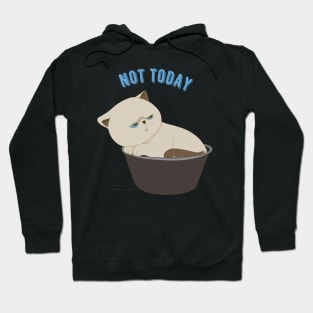 Lazy Cat Nope not Today funny sarcastic messages sayings and quotes Hoodie